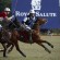 28805_THE-ROYAL-SALUTE-MAHARAJA-OF-JODHPUR-GOLDEN-JUBILEE-CUP